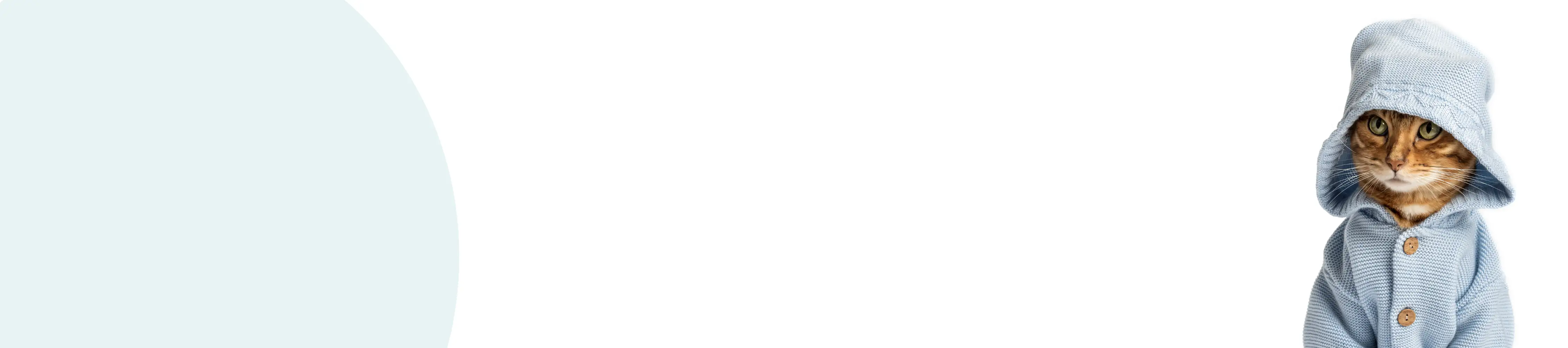 Apparel & Accessories