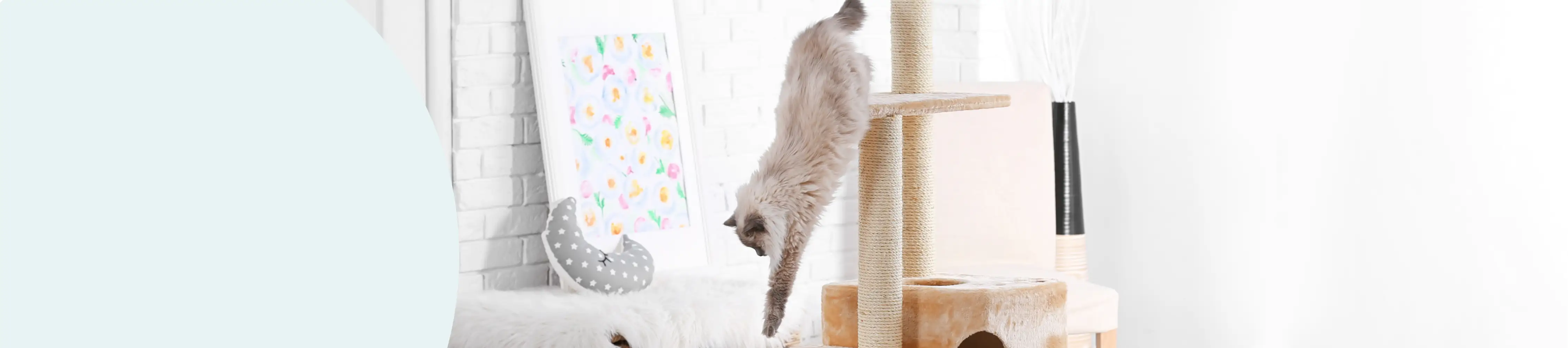 Trees, Scratchers & Condos