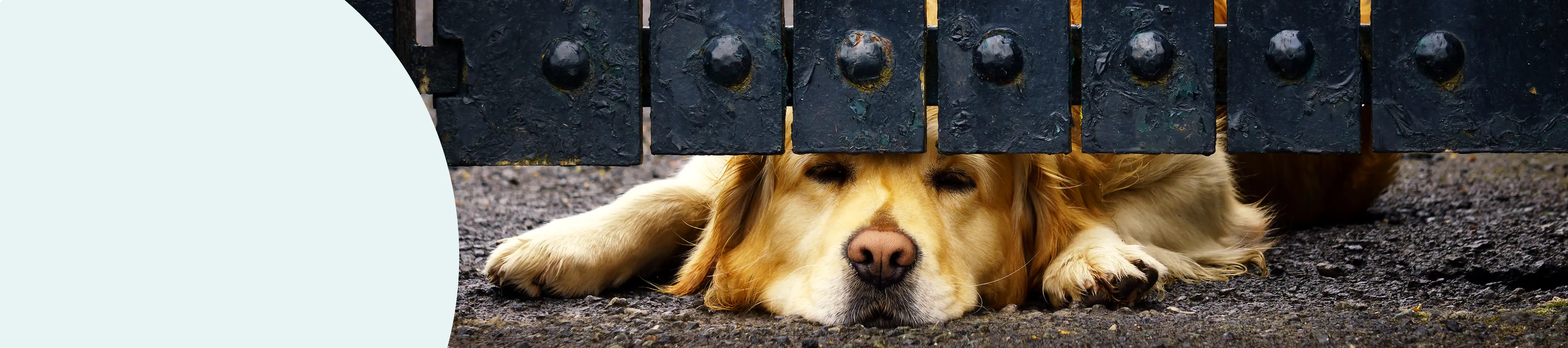 Crates, Gates & Pens