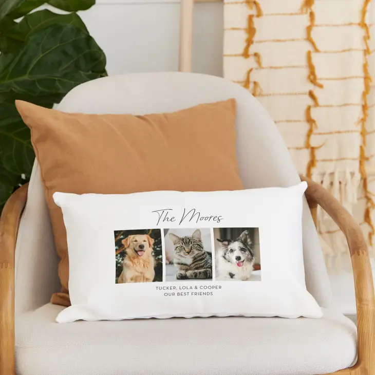 Custom Multi-Photo Printed 12" x 20" Rectangle Throw Pillow Cover and Insert Set - Animal Collage Product background