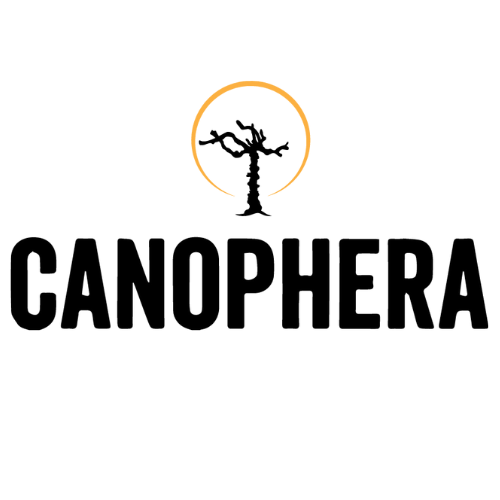 Canophera
